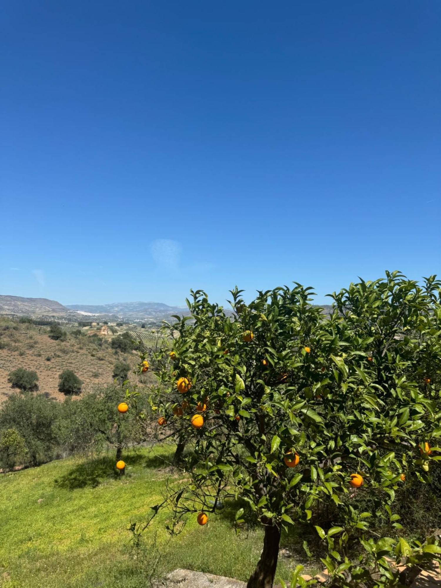 Santa Teresa Bed & Breakfast Andalusien ปิซาร์รา ภายนอก รูปภาพ