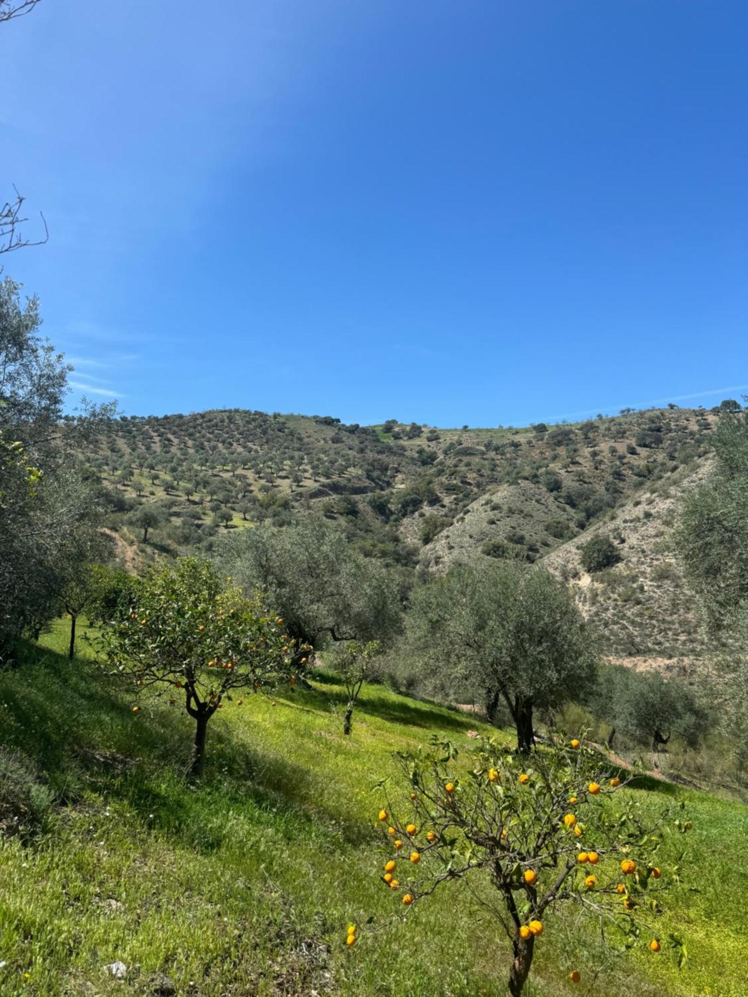 Santa Teresa Bed & Breakfast Andalusien ปิซาร์รา ภายนอก รูปภาพ